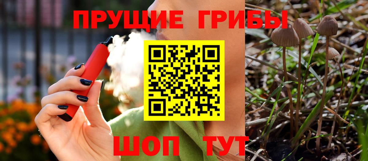 Галлюциногенные грибы ЛСД  Галлюциногенные грибы Cubensis  Вход с VPN  Надым 